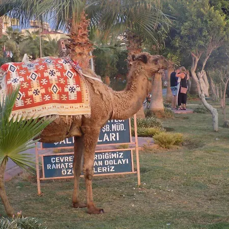 Semt Luna Отель 2*