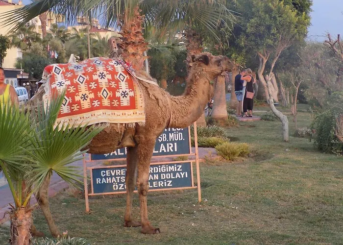 Semt Luna ホテル 2*