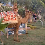 Semt Luna Hotel 2*